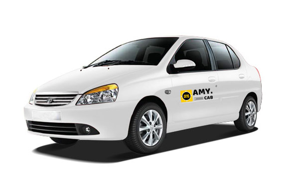 AMY CAB